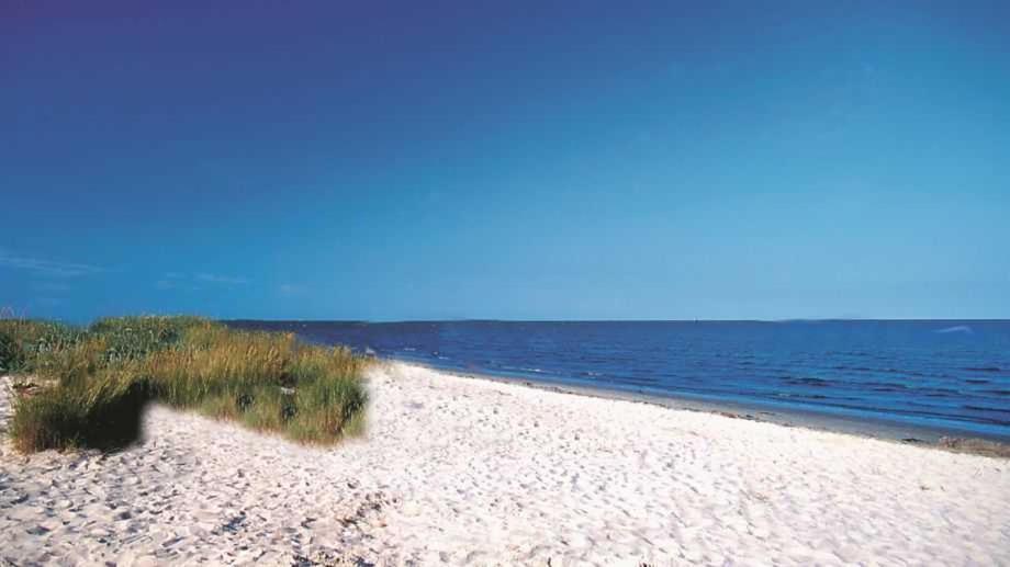 Witte Huus 75M_ Und 51M_ Ferienwoh Daire Hooksiel Dış mekan fotoğraf
